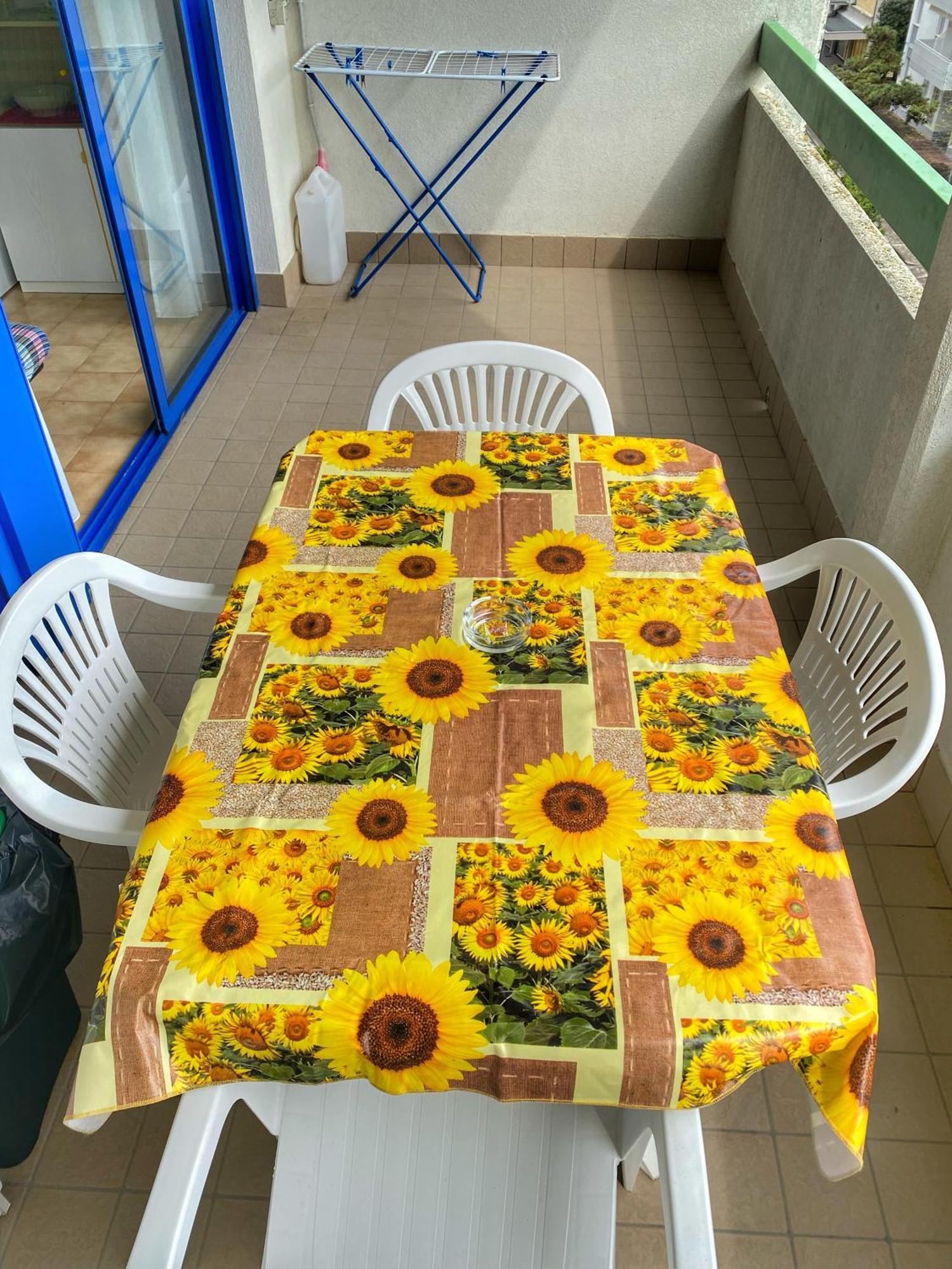 Grazioso Appartamento N 47 A 100Mt Dal Mare ビビオーネ エクステリア 写真